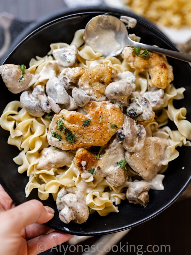 image of smothered chicken in mushroom sauce over egg noodles on a black plate