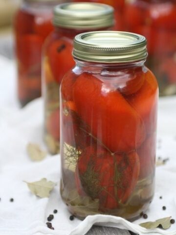 russian-Ukrianian-pickled-tomatoes-canned-tomatoes-tomato-jarred-currant-leaves-dill-peppercorns-tangy-side