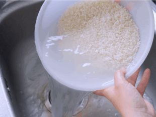 rinsing sushi rice to remove the starch