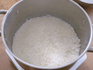 cooked and steamed sushi rice