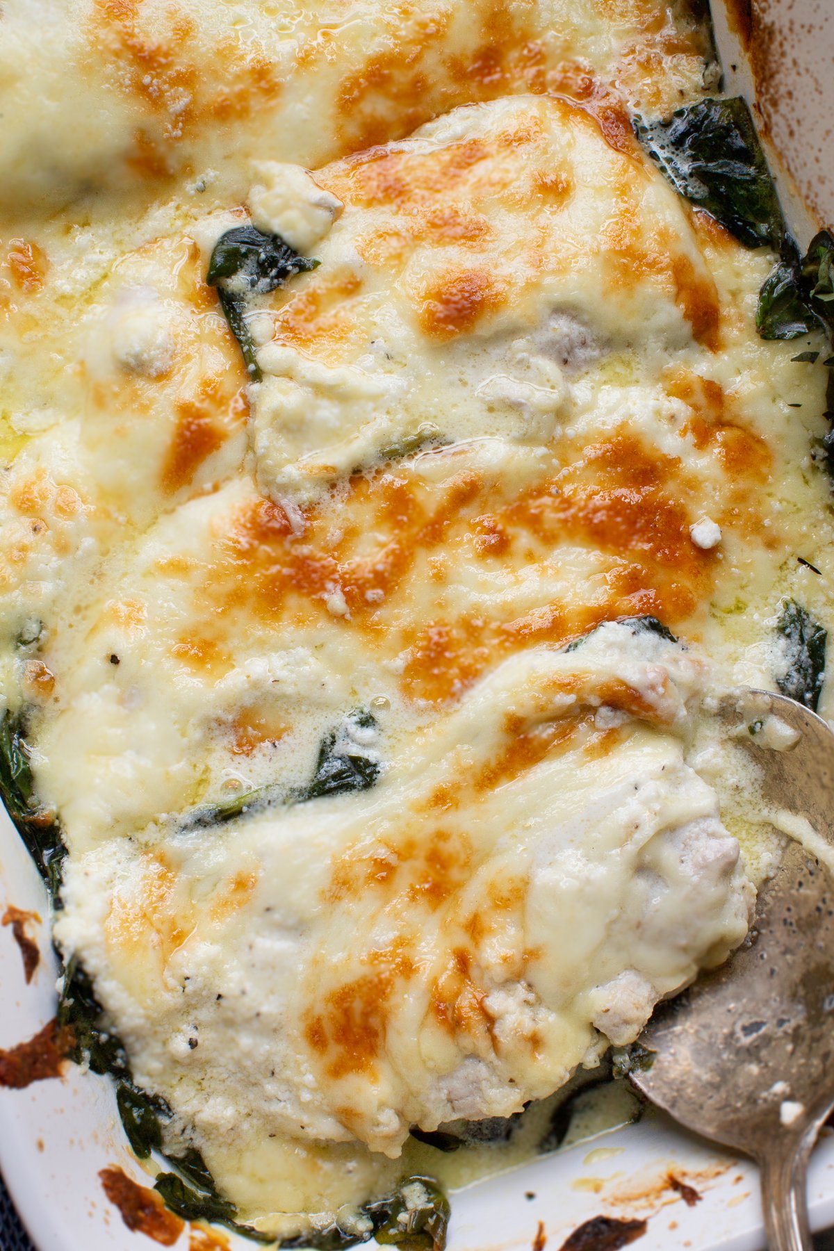 Creamy Spinach Chicken Casserole is one of the most popular creamy chicken recipes from our blog! This chicken and spinach casserole is layered into a baking dish using fresh spinach, raw chicken breasts, and a parmesan cream sauce that will melt under the cheese crust! Serve it as an easy weeknight dinner over rice or pasta! cheesy and creamy spinach chicken casserole