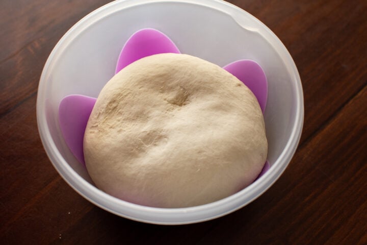 pizza dough in a food container
