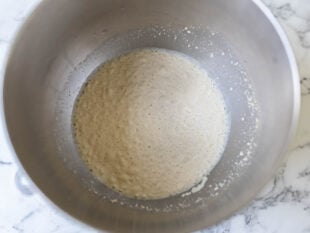 activating the dry yeast for Outback bread