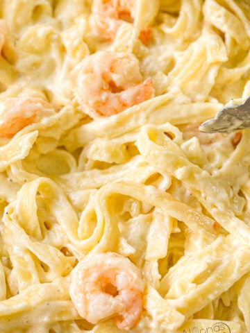 the BEST shrimp alfredo recipe