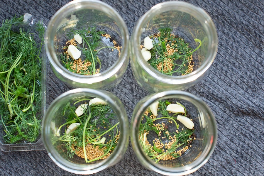 add-ins for dill pickles at home