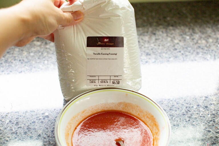 Canned Ketchup Recipe (Heinz Copycat) Alyona’s Cooking