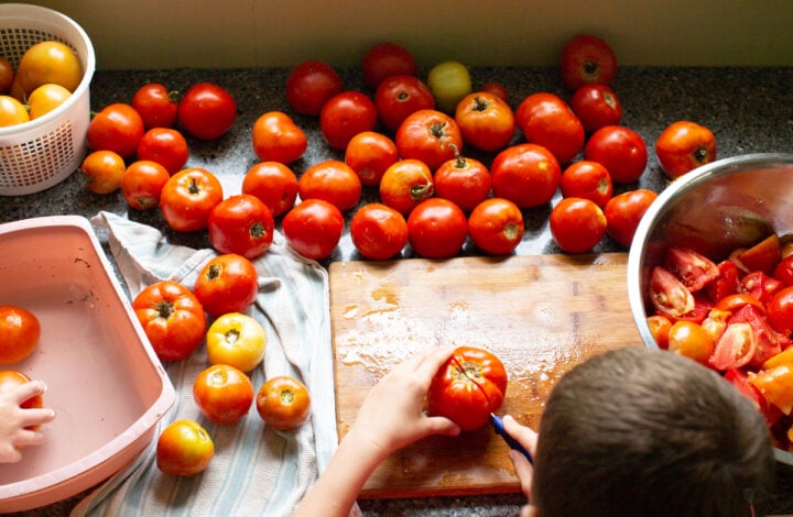 how to trim tomatoes for canned tomato ketchup