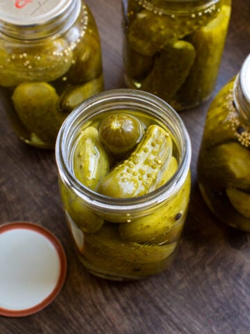 homemade canned dill pickles