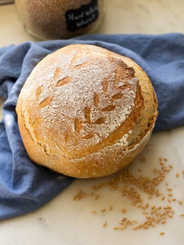 whole wheat sourdough boule made with freshly milled flour (hard white)