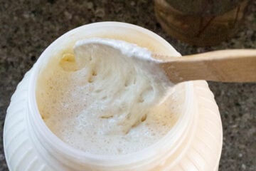 where to buy sourdough starter from a food blogger