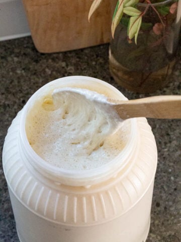 where to buy sourdough starter from a food blogger
