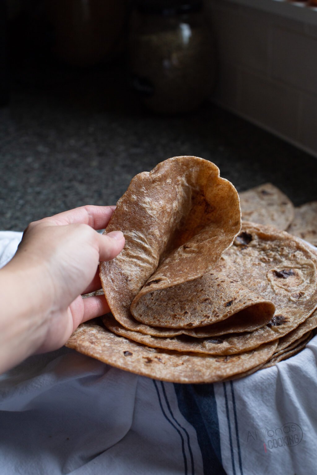 Super Soft Whole Wheat Tortillas Alyona’s Cooking