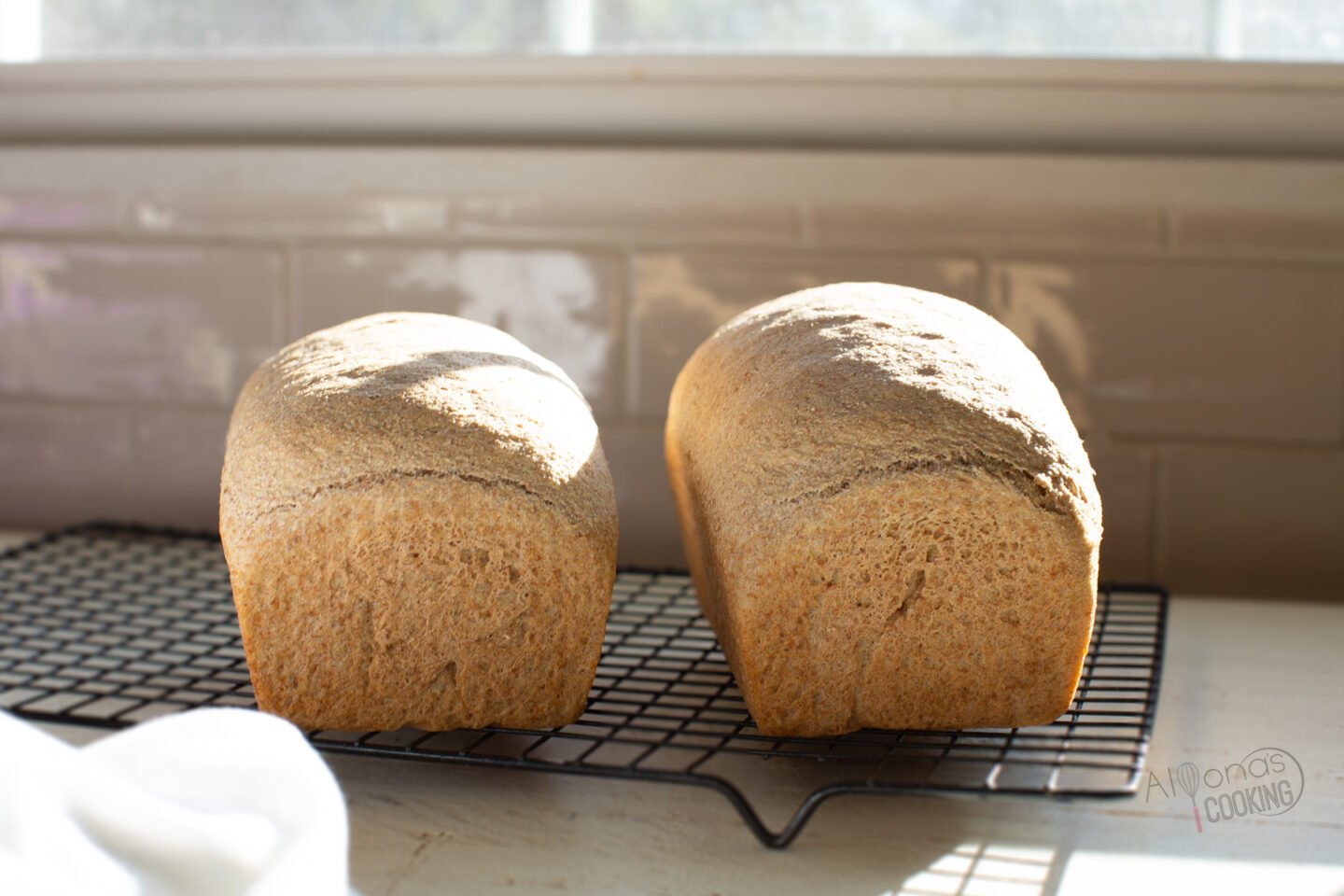 Whole Wheat Bread (with Homemade Whole Wheat Flour)
