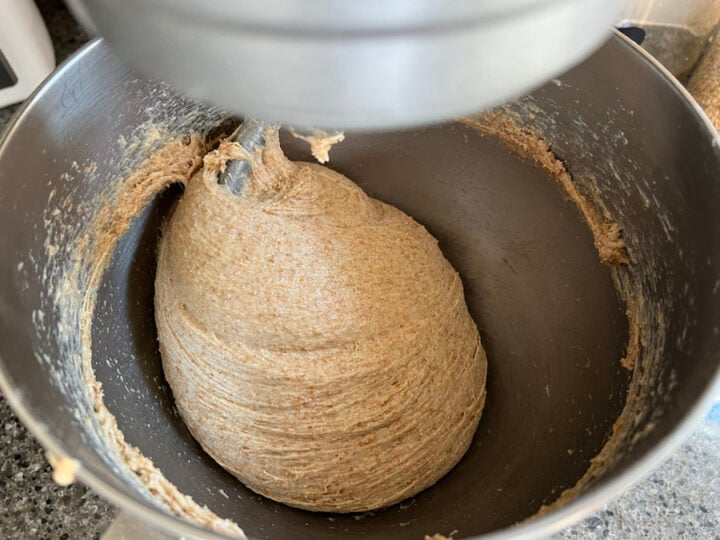 kneaded whole wheat dough