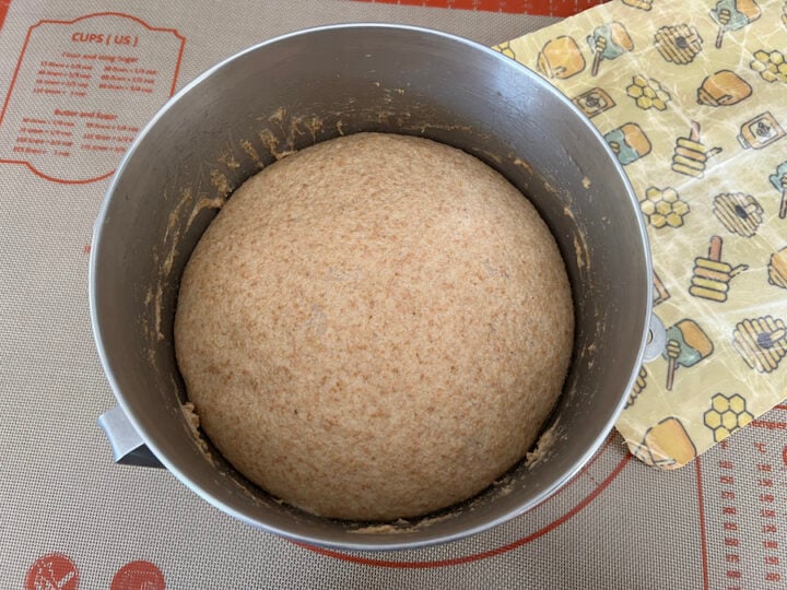 risen sandwich bread dough