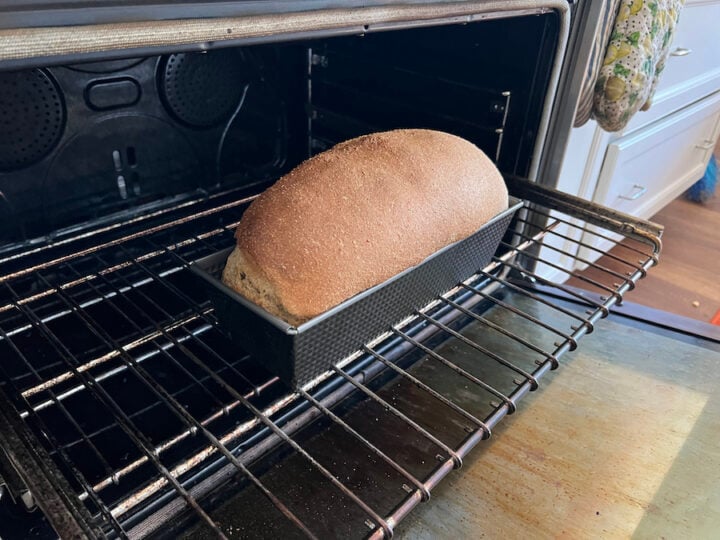 baked whole wheat sandwich loaf