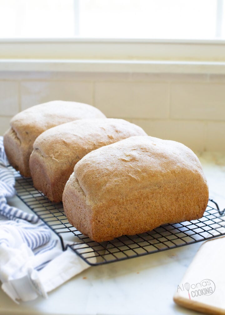 freshly milled whole wheat sourdough sandwich bread