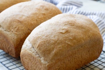 100% whole wheat sourdough bread
