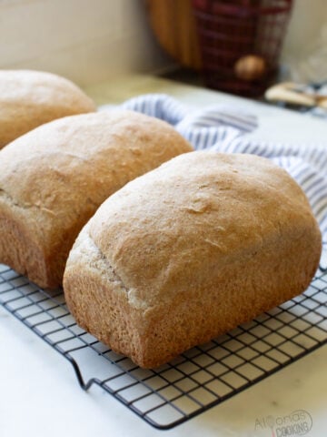 100% whole wheat sourdough bread