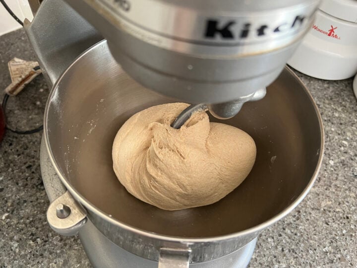 whole wheat bagel dough