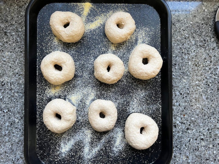 sourdough bagels on a tray to rise