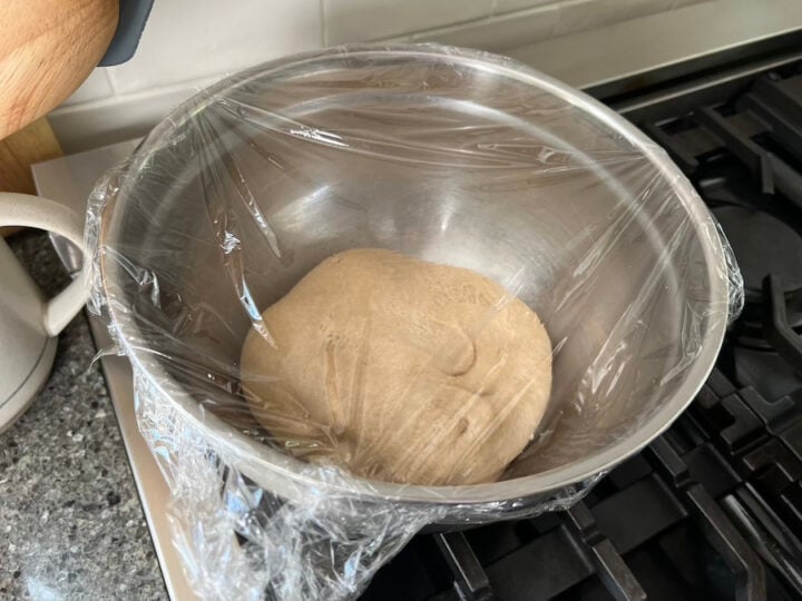 fermenting the dough