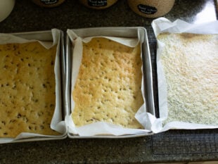 baked sponge layers