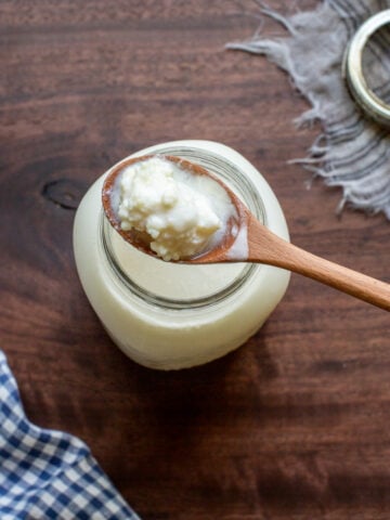 milk kefir grains in milk