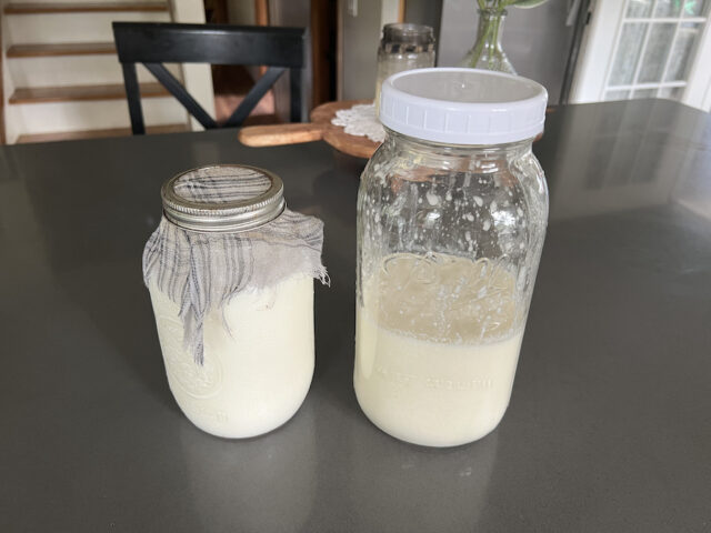 How To Make Milk Kefir (with a Step-by-Step Tutorial) - Alyona’s Cooking
