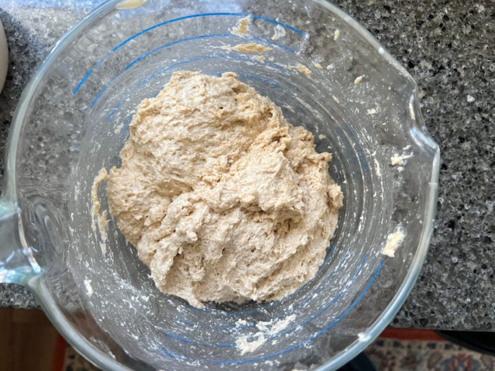 whole wheat sourdough biscuit dough