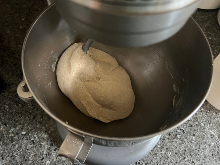 kneading sourdough rolls dough