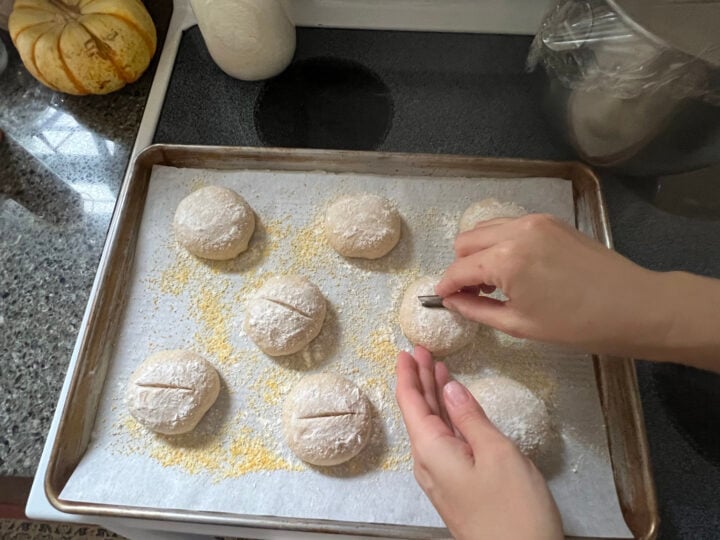 scoring sourdough rolls