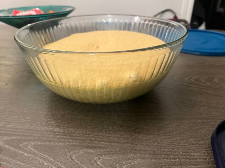 risen sourdough dinner rolls from freshly milled flour