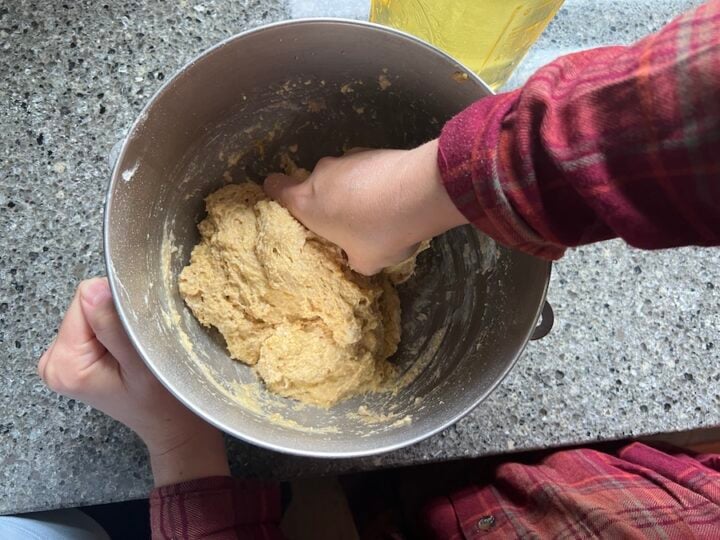 sourdough dinner rolls dough before kneading