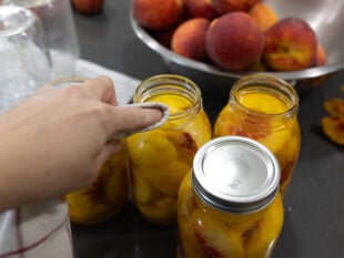 wiping the rims clean of canned peaches