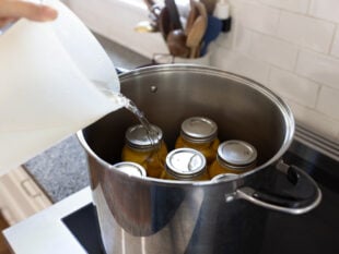 preparing canned peaches for a water bath