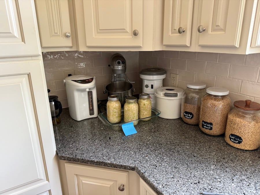 place jars of packed cabbage in a dark corner on the counter to ferment for 2 weeks to make sauerkraut 