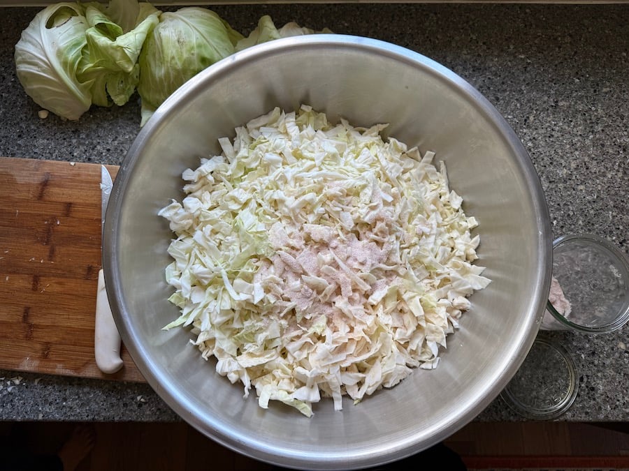 Transferring chopped cabbage into an extra large mixing bowl to tamper or massage 