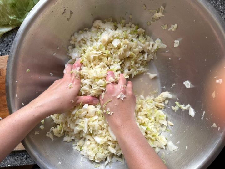 After tampering or massaging cabbage with salt you should have a mixture that looks wet like this