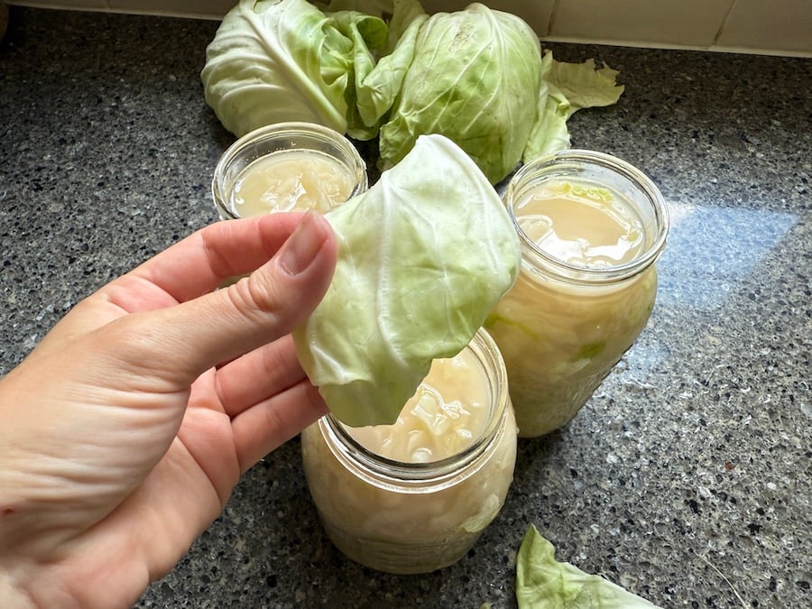 using a cabbage leaf to weigh down the liquid for the sauerkraut 