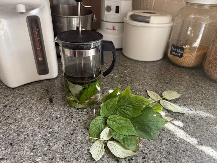 an image of homemade raspberry leaf tea