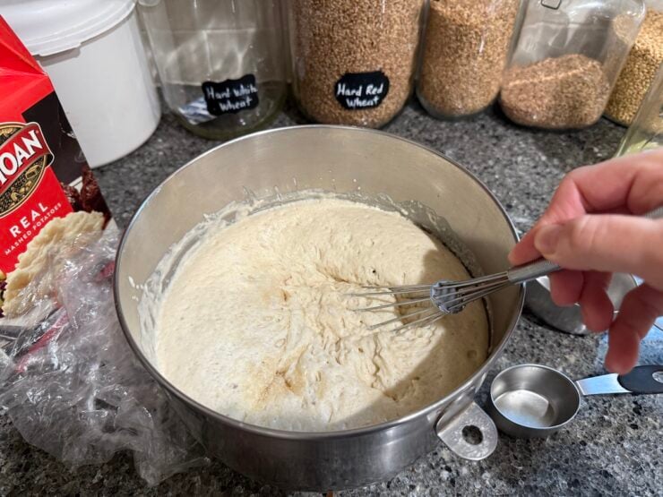 image of a pre-fermented sponge made with yeast