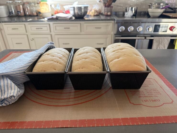 image of risen white dough in bread pans