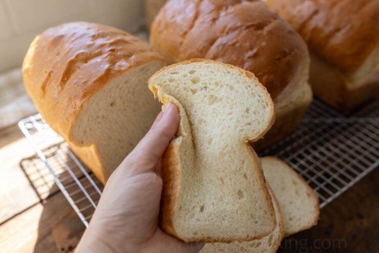 image of a super fluffy and soft sandwich bread slice made with white bread flour