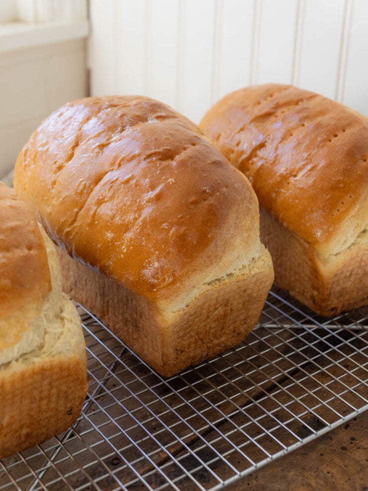 white sandwich loaves cooling on a wire rack