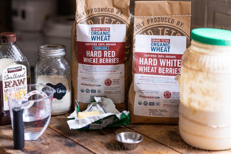 image of all ingredients for sourdough whole wheat pita bread (pictured: wheat berries, active sourdough starter, butter, salt, honey, vital wheat gluten, and water).