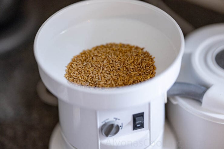 image of wheat berries milled in a grain mill for whole wheat pitas