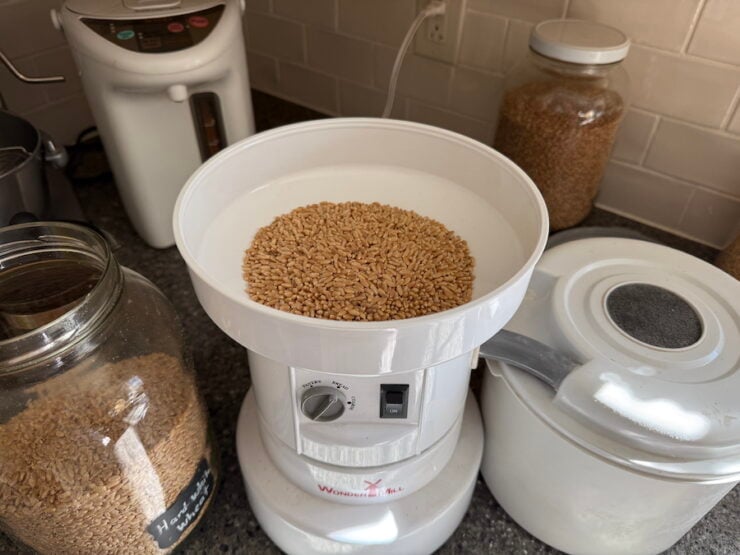 milling the wheat berries for sourdough whole wheat pizza dough