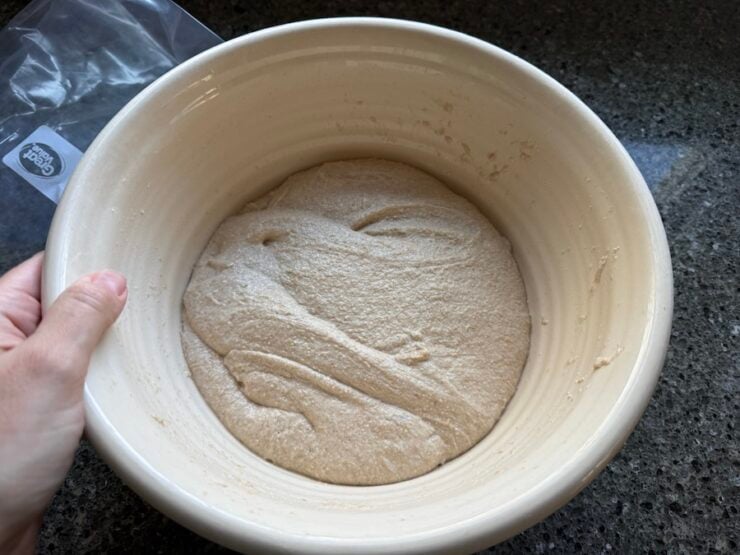 image of fluffy and risen whole wheat sourdough pizza dough