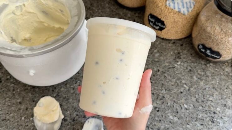 freezing mint chocolate chip ice cream in food containers